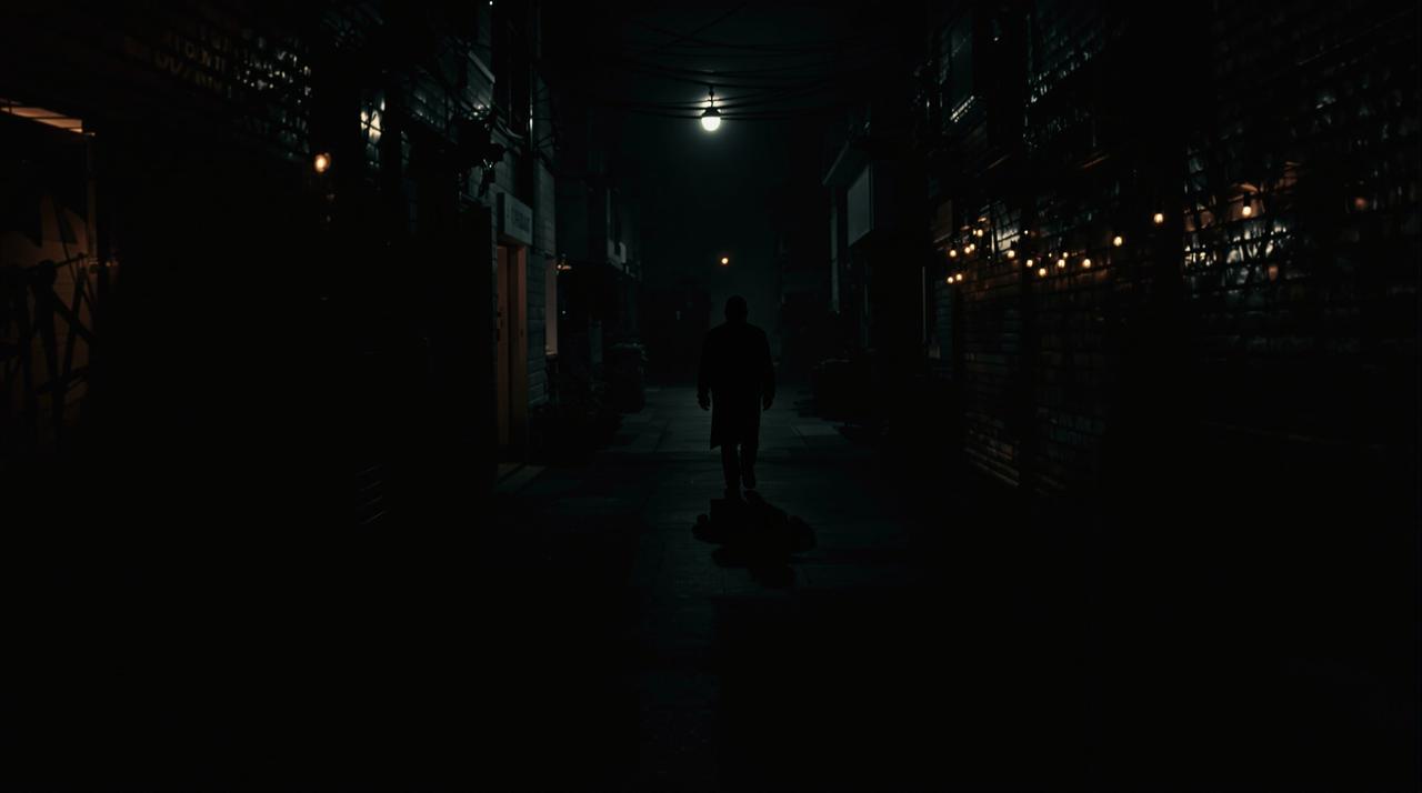 爱情电影网最新上线 - 暗夜追踪